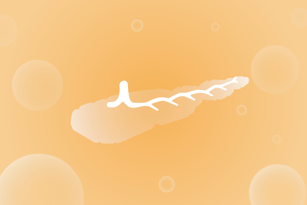 内分泌系统，腺体，胰腺遗传病、基因病、罕见病基因解码，基因检测，基因筛查与分子诊断