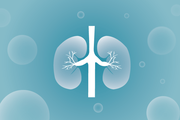 泌尿系统，肾脏，膀胱，尿病，肾不好遗传病、基因病、罕见病的基因解码，基因检测，基因筛查与分子诊断