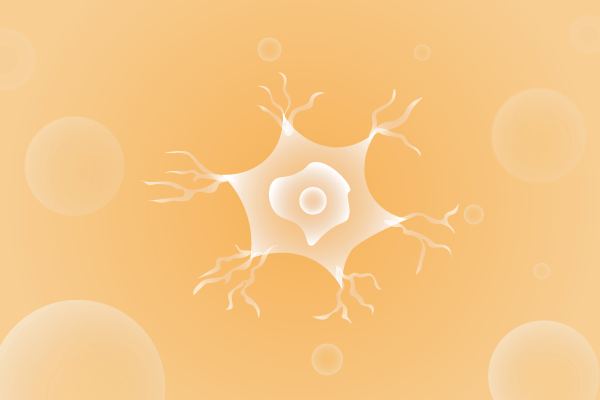 神经科肌肉系统及运动神经系统遗传病、基因病、罕见病的基因解码，基因检测，基因筛查与分子诊断