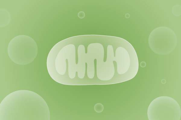 线粒体病、线粒体疾病遗传病、基因病、罕见病基因解码，基因检测，基因筛查与分子诊断