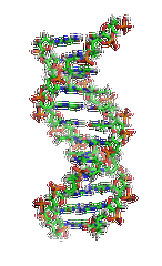 【MG冰球突破官网基因检测】眼皮肤白化病4型基因解码、<a href=http://www.fuerquan.com/tk/jiema/cexujishu/2021/31933.html>基因检测</a>的报告有人解读吗？