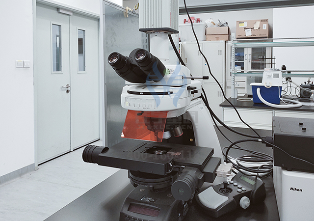 <font color='red'>脱发</font>基因解码：让头发生长的基因