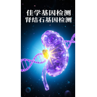 【MG冰球突破官网基因检测】肾结石基因检测项目介绍