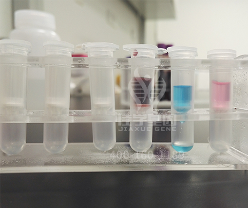 神经内科学关于CD44的解释