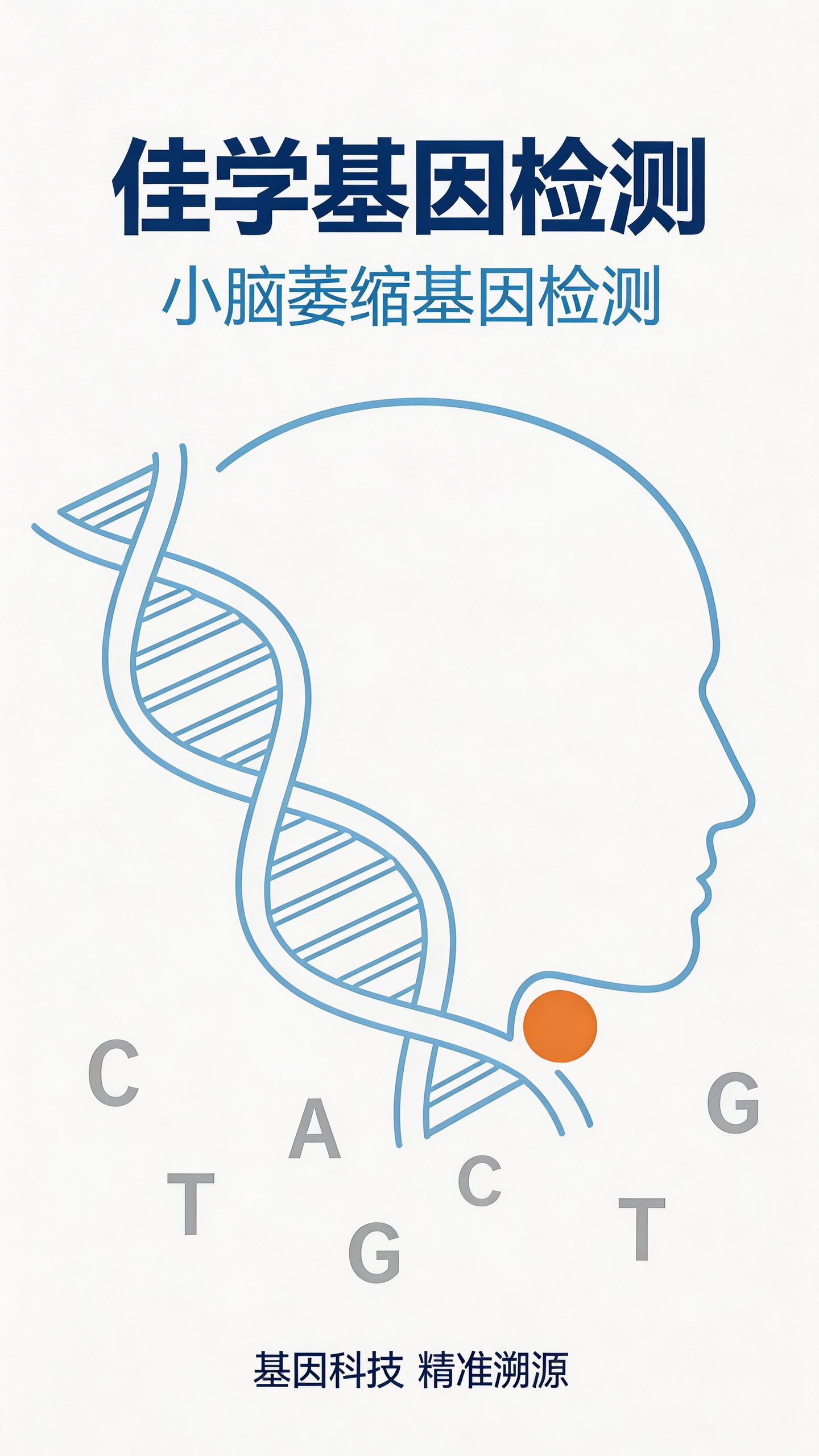 【MG冰球突破官网基因检测】一文讲清小<font color='red'><font color='red'>脑萎缩</font></font>共济失调基于基因检测的靶向治疗