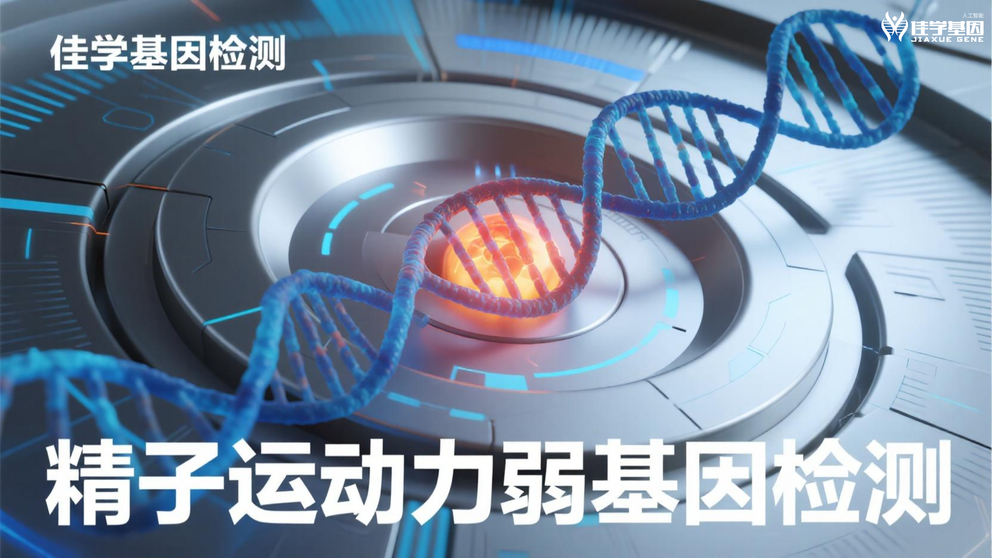 【MG冰球突破官网基因检测】男性<font color='red'>脱发</font>和生育力：基因告诉了我们什么？