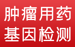 基因检测